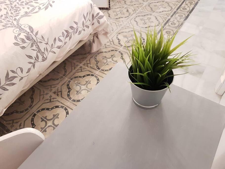 Coqueto Loft By Gades Gestion Apartment Cadiz Bagian luar foto